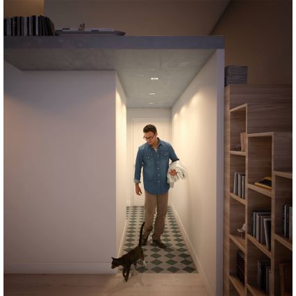 Philips  50393/11/P0 - SETTI 3x Himmennettävä riippuva LED-kattovalaisin SHELLBARK LED/4,5W/230V