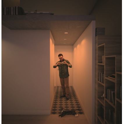 Philips  50393/11/P0 - SETTI 3x Himmennettävä riippuva LED-kattovalaisin SHELLBARK LED/4,5W/230V