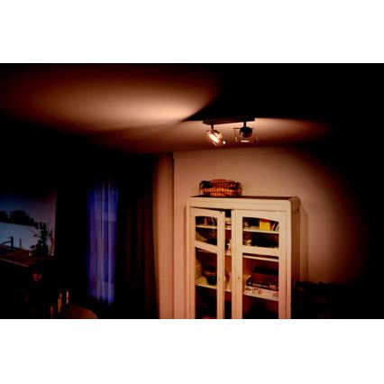 Philips 50482/17/PO - LED-kohdevalaisin GOLYGON 2xLED/4,5W/230V