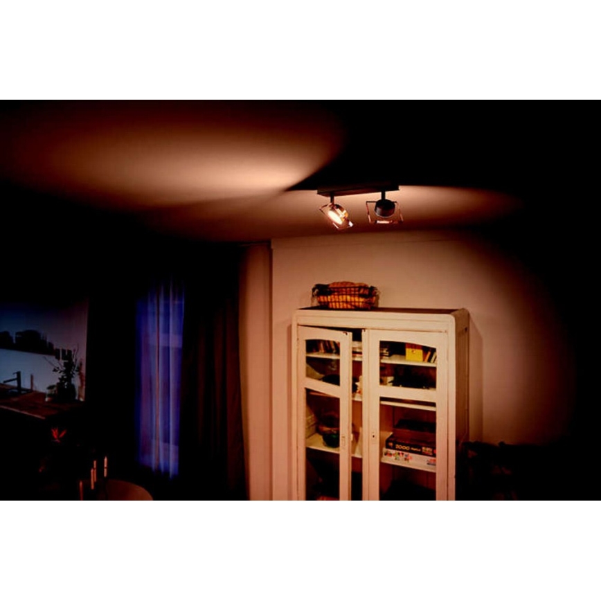 Philips 50482/17/PO - LED-kohdevalaisin GOLYGON 2xLED/4,5W/230V