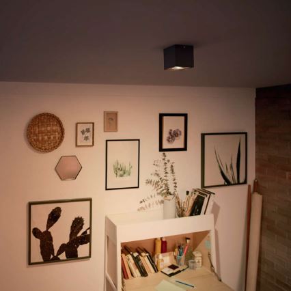 Philips - himmennettävä LED-kohdevalaisin LED/4,5W/230V