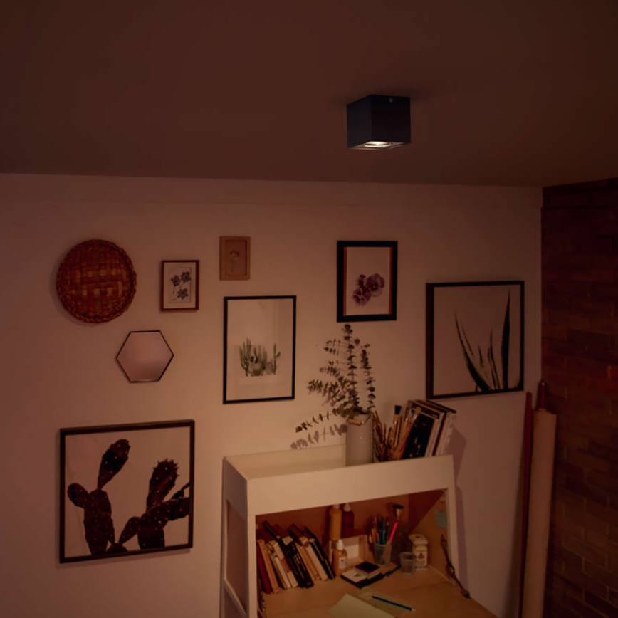 Philips - himmennettävä LED-kohdevalaisin LED/4,5W/230V