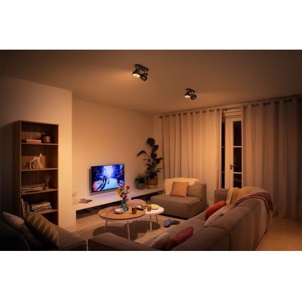 Philips 50602/30/P0 - Himmennettävä LED-kohdevalo BUKKO 2xLED/4,5W/230V