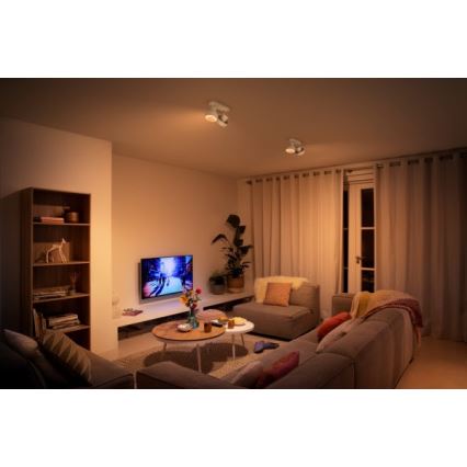 Philips 50602/31/P0 - LED-kohdevalaisin BUKKO 2xLED/4,5W/230V