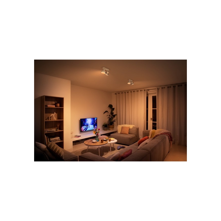 Philips 50602/31/P0 - LED-kohdevalaisin BUKKO 2xLED/4,5W/230V