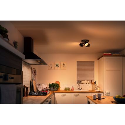 Philips 50603/30/P0 - Himmennettävä LED-kohdevalo BUKKO 3xLED/4,3W/230V