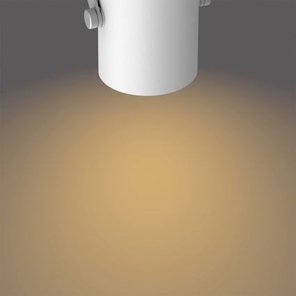 Philips - LED-kohdevalaisin 2xLED/4,3W/230V 2200/2500/2700K