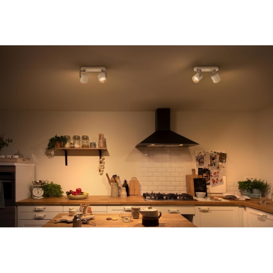 Philips - Himmennettävä LED-kohdevalo 2xLED/4.5W/230V