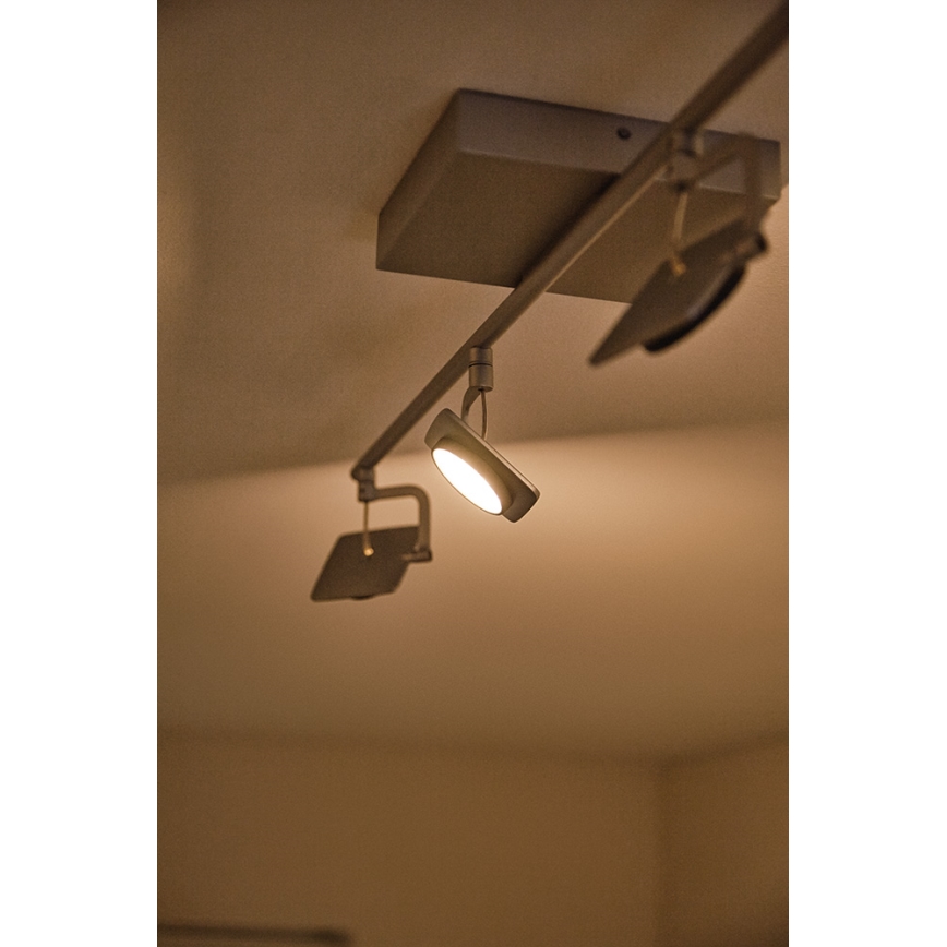 Philips 53194/48/P0 - LED-kohdevalaisin MILLENNIUM 4xLED/4,5W/230V