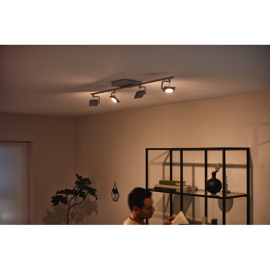 Philips 53194/48/P0 - LED-kohdevalaisin MILLENNIUM 4xLED/4,5W/230V