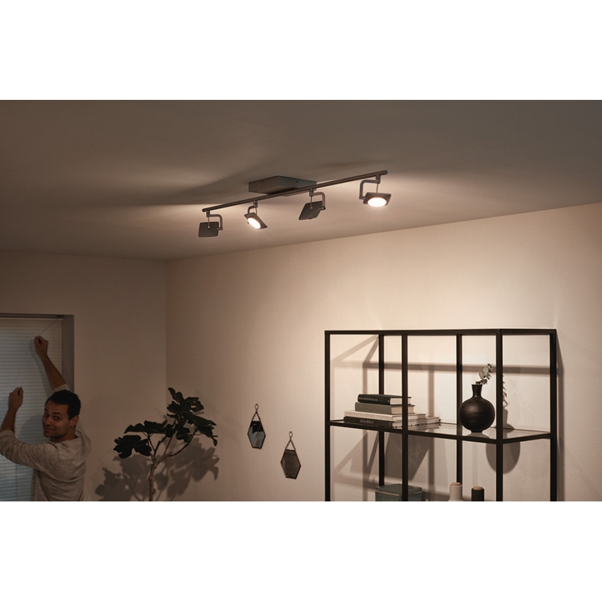 Philips 53194/48/P0 - LED-kohdevalaisin MILLENNIUM 4xLED/4,5W/230V