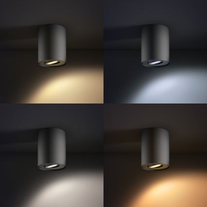 Philips - Himmennettävä LED-kohdevalo Hue PILLAR 1xGU10/5,5W