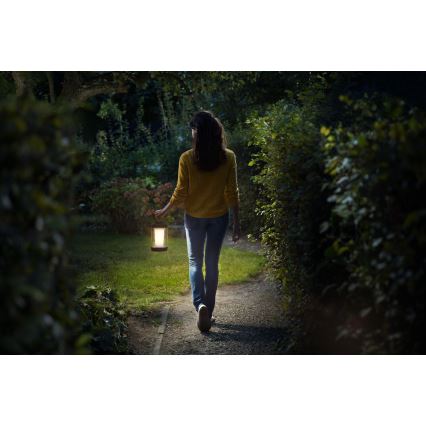 Philips - LED-säädettävä kannettava lamppu CICERO LED/6W/5V 4000 mAh IP54