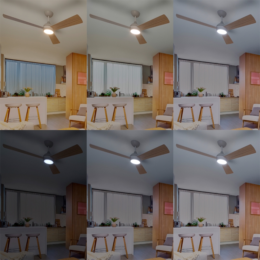 Philips - himmennettävä LED-kattotuuletin CIVX LED/24W/230V + kauko-ohjain