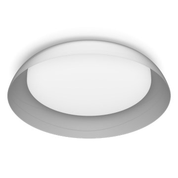 Philips - Himmennettävä LED-kattovalaisin FLETA SCENE SWITCH LED/10W/230V 4000K läpinäkyvä