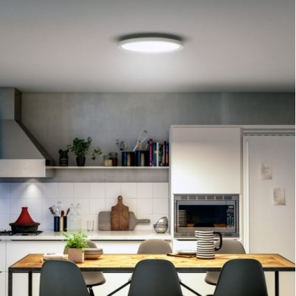 Philips - Himmennettävä LED-kattovalaisin Hue LED/19W/230V 2200-6500K + kauko-ohjaus