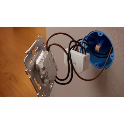 Philips - Hue 2-painikkeisen seinäkytkimen moduuli