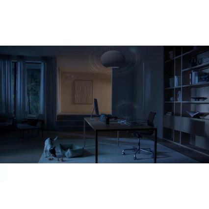 Philips - Hue BRIDGE PRO -silta, musta