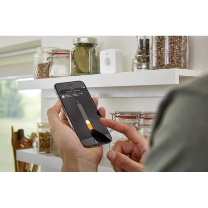 Philips Hue liiketunnistin 2xAAA IP42