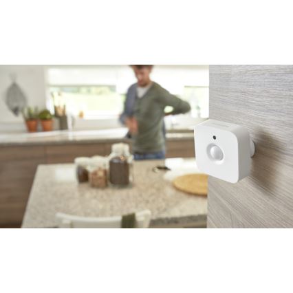 Philips Hue liiketunnistin 2xAAA IP42
