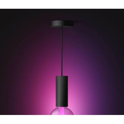 Philips - Kattokruunu johdossa Hue GUIDE 1xE27/60W/230V