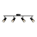 Philips - Kohdevalo PALMS 4xE14/25W/230V