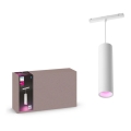 Philips - LED Himmennettävä kattokruunu johdossa kiskojärjestelmään Hue PERIFO LED/5,2W/24V 2000-6500K