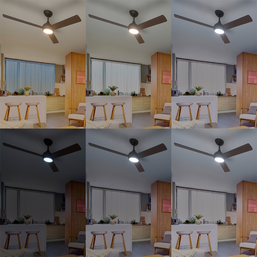 Philips - LED-himmennettävä kattotuuletin CIVX LED/24W/230V + kaukosäädin