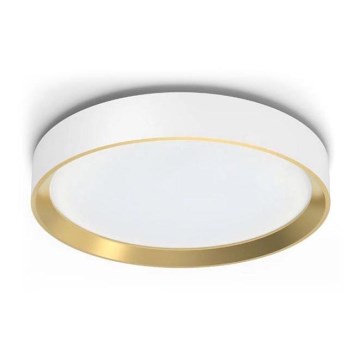 Philips - LED himmennettävä kattovalaisin HANNO LED/24W/230V 2700K valkoinen