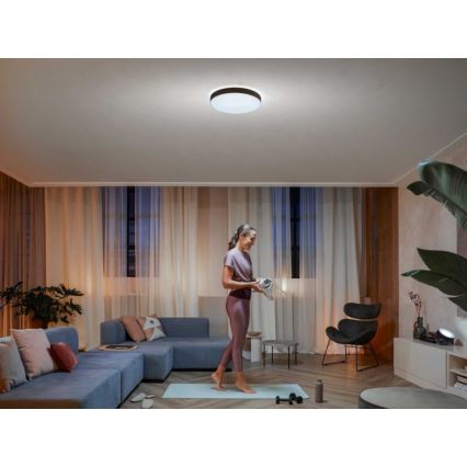 Philips - Hue LED himmennettävä kattovalaisin LED/33,5W/230V 2200-6500K halkaisija 425 mm musta + kaukosäädin
