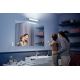Philips - LED Himmennettävä kylpyhuone valaistus Hue ADORE LED/13W/230V IP44 + kauko-ohjaus