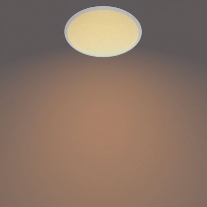 Philips - LED-himmennettävä kylpyhuoneen kattovalaisin SCENE SWITCH LED / 12W / 230V IP44