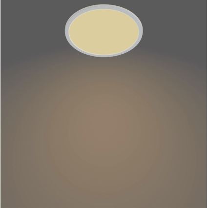 Philips - LED-himmennettävä kylpyhuonevalo SCENE SWITCH LED / 15W / 230V IP44