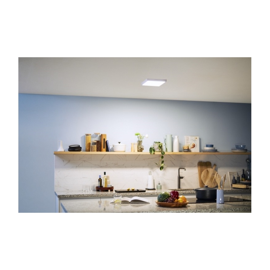 Philips - LED-kattovalaisin MAGNEOS LED / 12W / 230V 4000K valkoinen