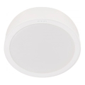 Philips - LED-kattovalaisin MESON LED/24W/230V 3000K