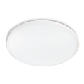 Philips - LED-kattovalaisin TWIRLY LED/17W/230V