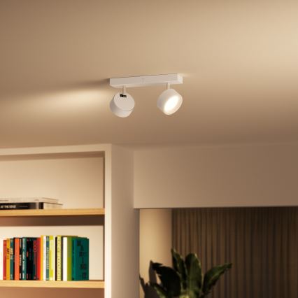 Philips - LED-kohdevalaisin 2xLED/5,5W/230V valkoinen