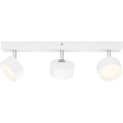 Philips - LED-kohdevalaisin 3xLED/5,5W/230V valkoinen