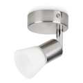 Philips - LED-kohdevalaisin LED/4,3W/230V