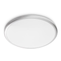 Philips - LED Kylpyhuoneen kattovalo LED/17W/230V IP44