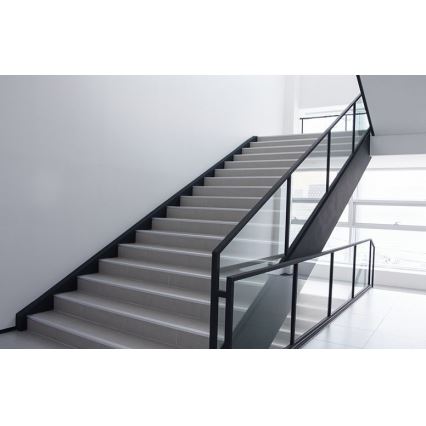 Philips - LED Seinävalo PROJECTLINE LED/15W/230V IP65