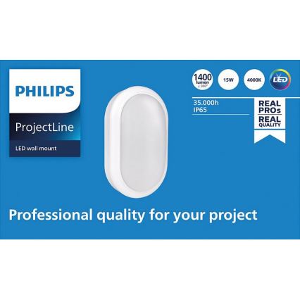 Philips - LED Seinävalo PROJECTLINE LED/15W/230V IP65