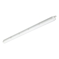 Philips - LED-tekninen loisteputkivalaisin CORELINE LED/37,5W/230V 150 cm IP66