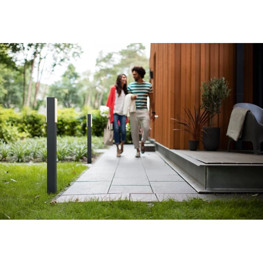 Philips - LED-ulkolamppu STRATOSPHERE LED/3,8W/230V 77 cm 2700K IP44