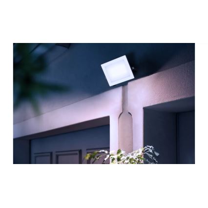 Philips - LED-valonheitin LOIS LED/30W/230V IP65 5000K