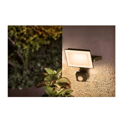 Philips - liiketunnistimella varustettu LOIS LED-heijastin 20W/230V IP65 3000K