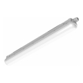 Philips Pila - tekninen LED-putkivalaisin LED/40W/230V 120 cm IP65