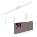 Philips - SETTI 3x LED  Himmennettävä kattokruunu johdossa kiskojärjestelmään Hue PERIFO LED/15,6W/230V 2000-6500K