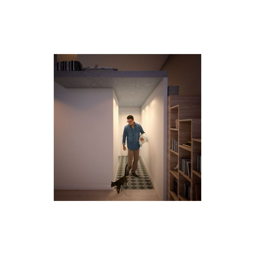 Philips 50393/17 / P0 - SETTI 3x LED-himmennettävä upotettava valo SHELLBARK Lämmin hehku 1xLED / 4,5W / 230V 2200-2700K