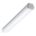 Philips - Tekninen LED-loisteputkivalaisin LEDINAIRE LED/15W/230V 60 cm IP66